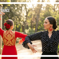 academia de flamenco en caracas, escuela de flamenco, estudio de flamenco en caracas